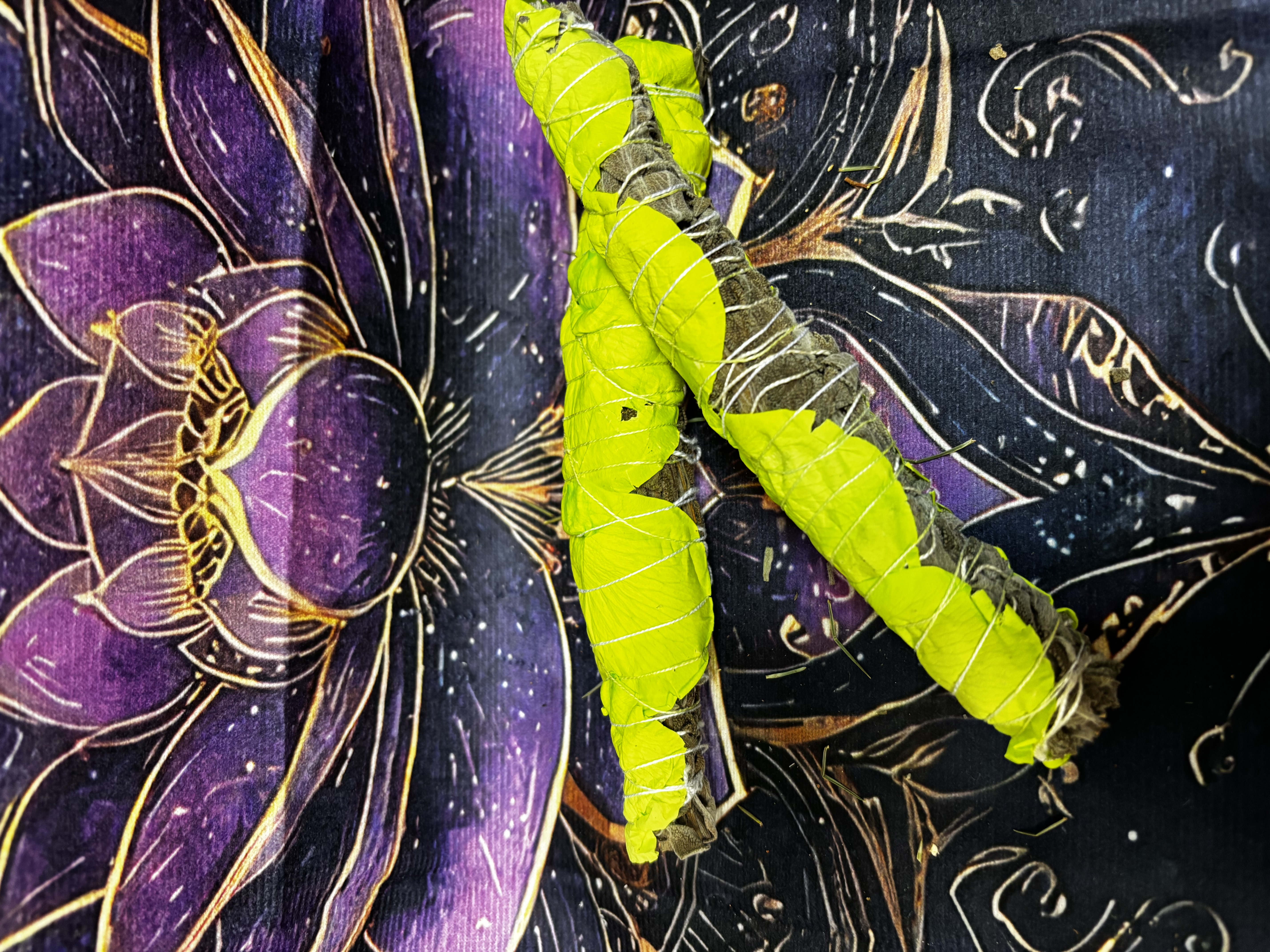 Atado salvia y pétalos de rosa verde.